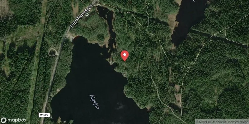 Satellitbild över Älgsjön i Ludvika