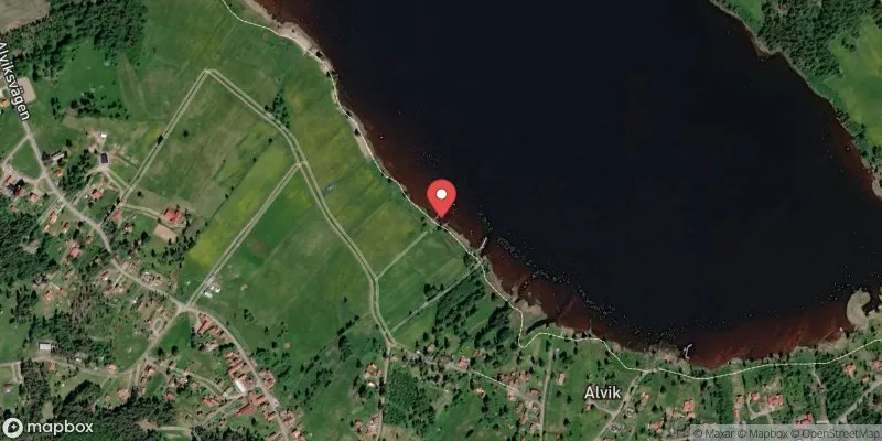 Satellitbild över Alvik i Leksand