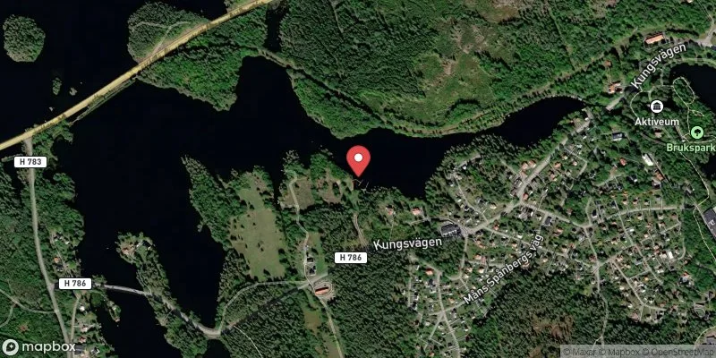 Satellitbild över Ankarsrums badplats (Långsjön) i Västervik