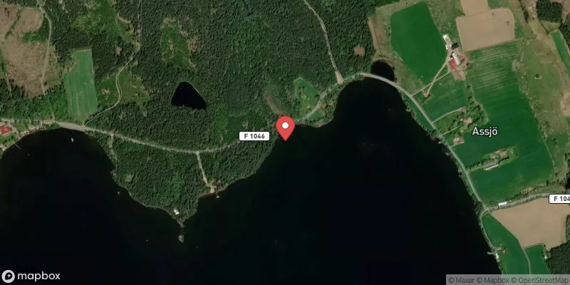 Satellitbild över Assjön i Aneby