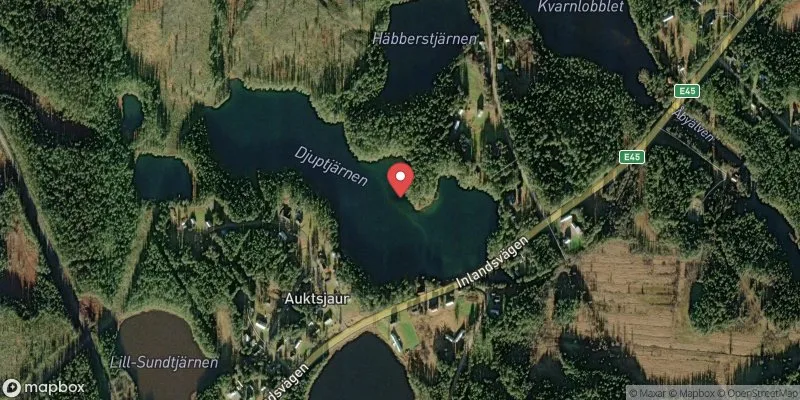 Satellitbild över Auktsjaur i Arvidsjaur