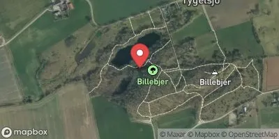 Billebjär