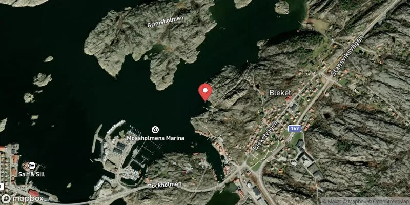 Satellitbild över Blekets badplats i Tjörn