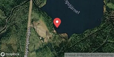 Bograngstjärn