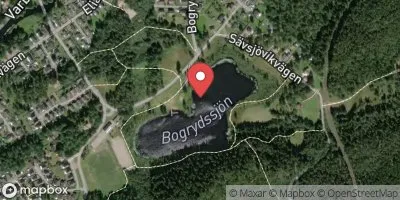 Bogrydssjöns badplats, Svaneholm