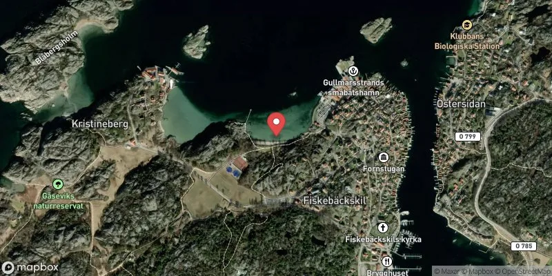 Satellitbild över Bökevik i Lysekil