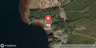 Bolmen, Mjälen