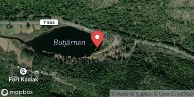 Butjärn