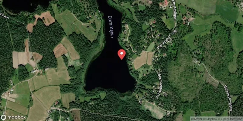 Satellitbild över Dammsjön, Barkhyttan i Hofors