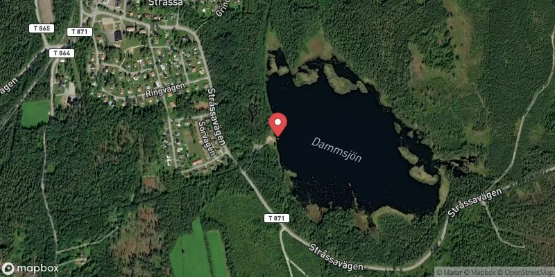 Satellitbild över Dammsjön i Lindesberg