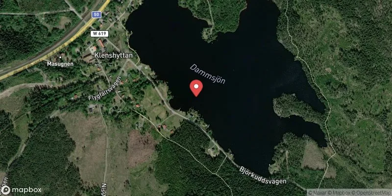 Satellitbild över Dammsjön i Ludvika