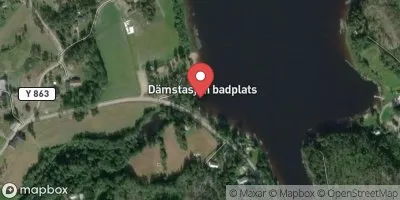 Dämstasjön