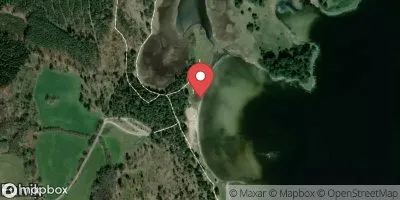 Fulvik