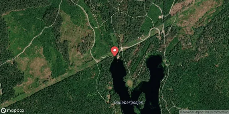 Satellitbild över Gallabergssjön i Hallsberg