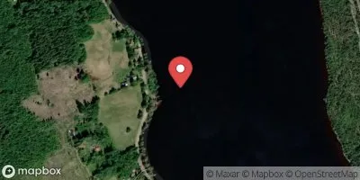 Gänsen