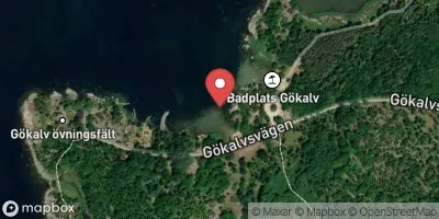 Gökalv