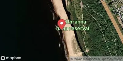 Gullbranna