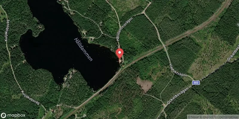 Satellitbild över Hålldammen i Sandviken