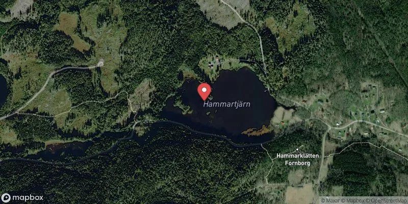 Satellitbild över Hammartjärn i Arvika