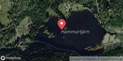 Hammartjärn