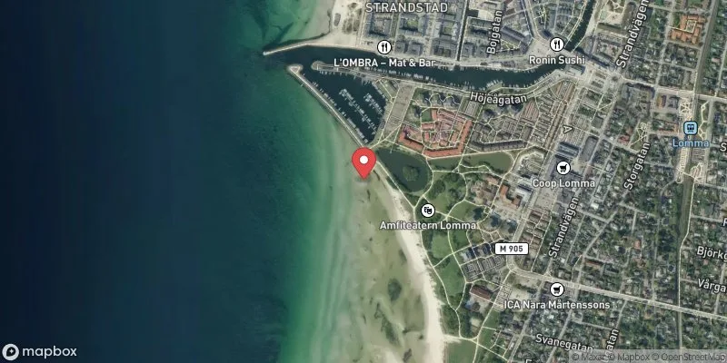Satellitbild över Hamnhusen, T-bryggan i Lomma