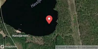 Havstjärnen