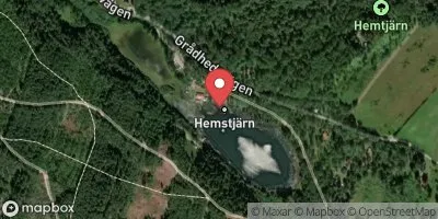 Hemtjärn