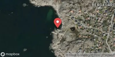 Hönö, Hästen
