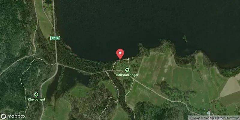 Satellitbild över Järnlunden, Hallstad ängar i Kinda