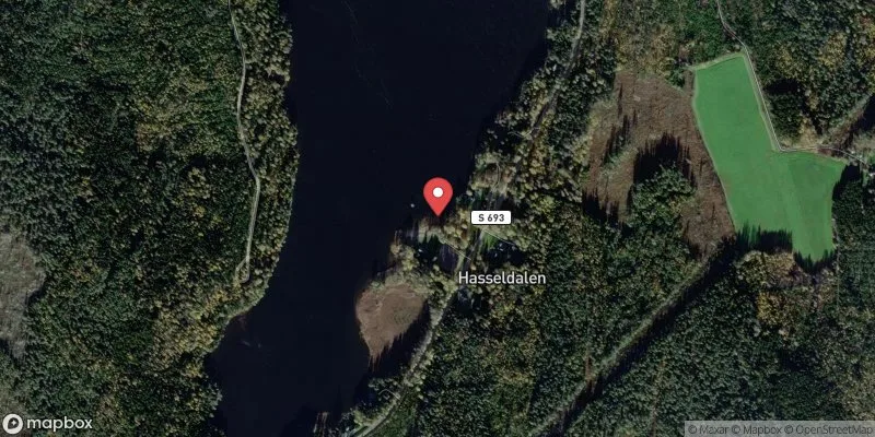 Satellitbild över Långsjön, Hasseldalen i Grums