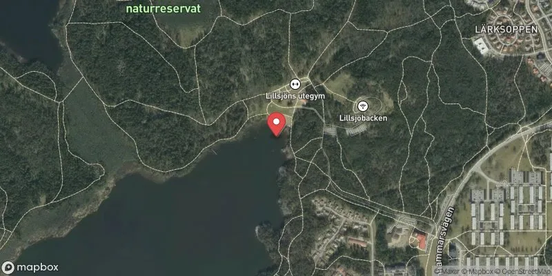 Satellitbild över Lillsjön i Upplands-Bro