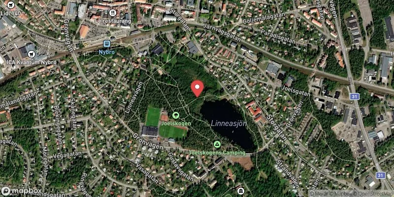 Satellitbild över Linneasjön, Strandvägen i Nybro