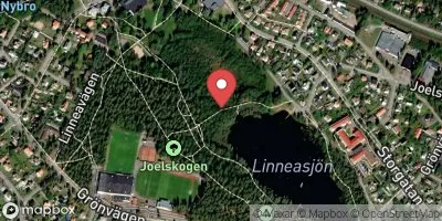 Linneasjön, Strandvägen