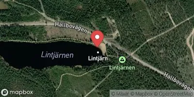 Lintjärn, Hudiksvall-Hög