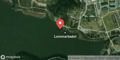 Lommaren