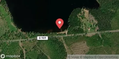 Madkroken, Sandskog