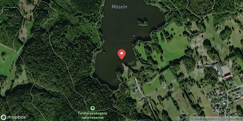Satellitbild över Mäseln i Finspång