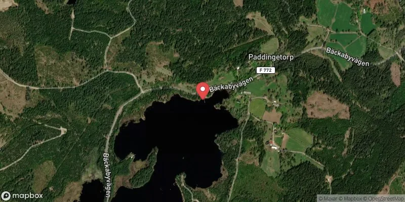 Satellitbild över Paddingetorpasjön, Bäckaby i Vetlanda
