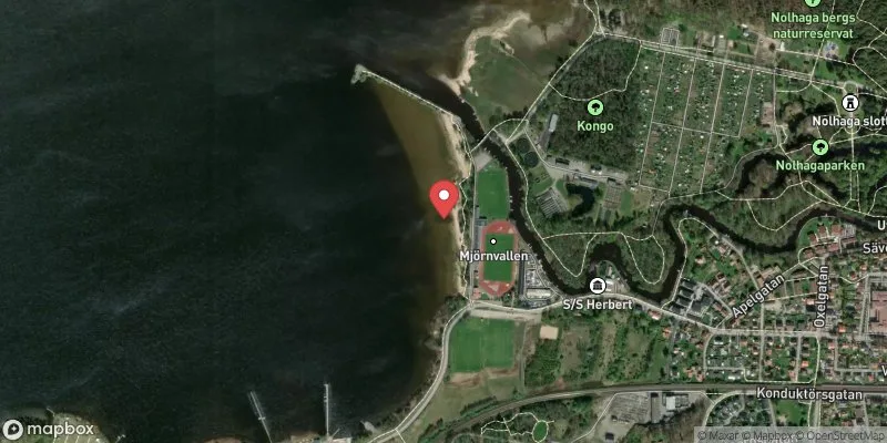 Satellitbild över Playa Mjörn i Alingsås