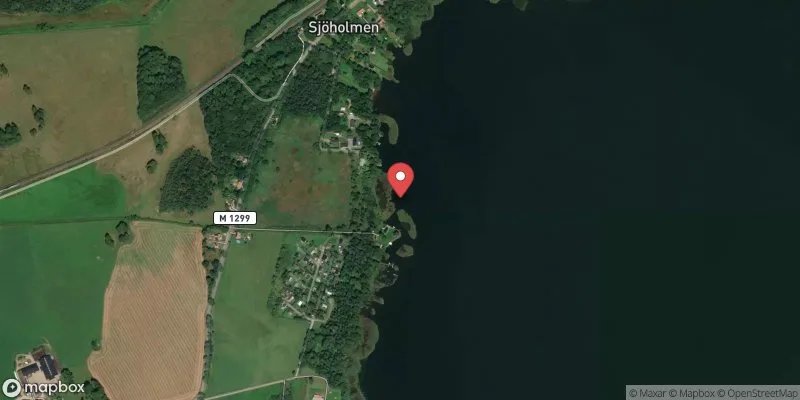 Satellitbild över Ringsjön Sjöholmen, Västra str i Eslöv