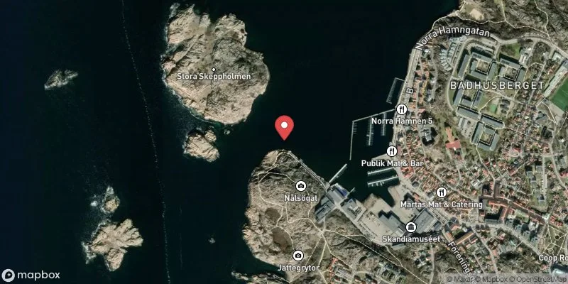 Satellitbild över Rinkenäs i Lysekil