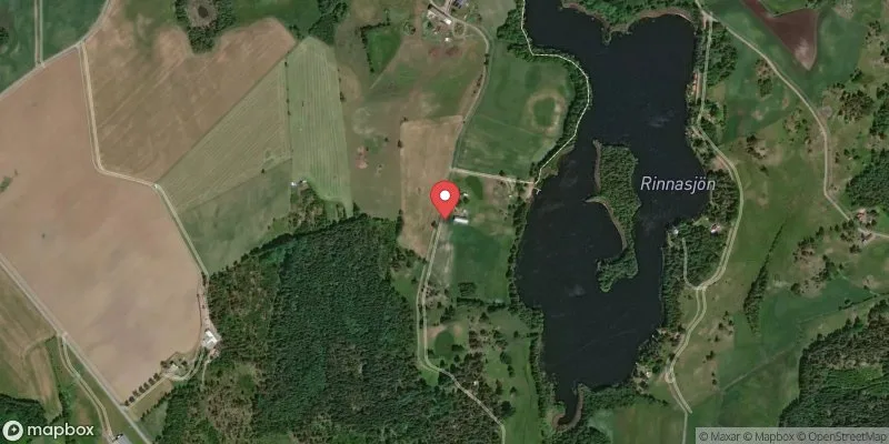 Satellitbild över Rinnasjön i Boxholm