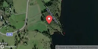 Rinnen
