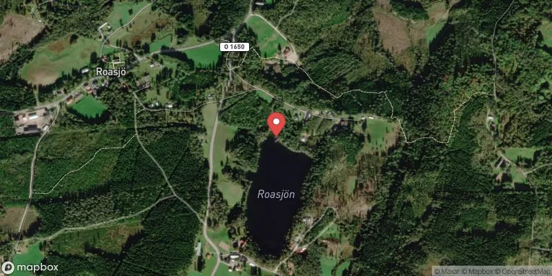 Satellitbild över Roasjö, Roasjön i Svenljunga