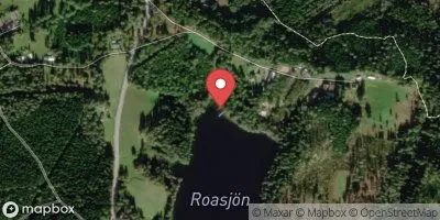 Roasjö, Roasjön