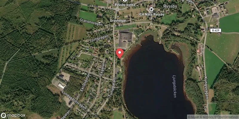 Satellitbild över Ryssbysjön i Ljungby