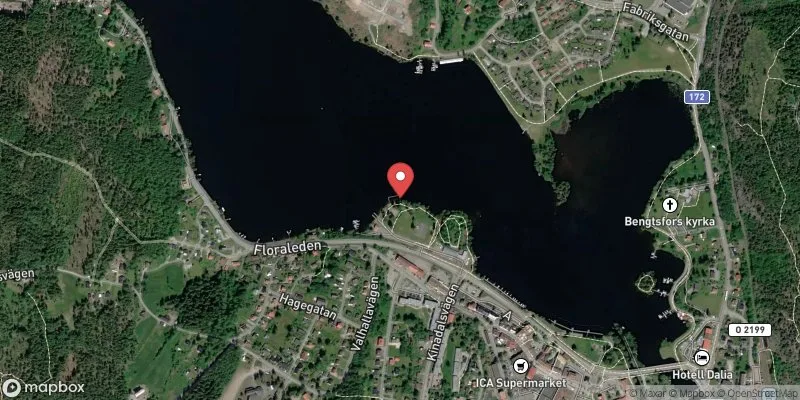 Satellitbild över Sågudden Lelång i Bengtsfors