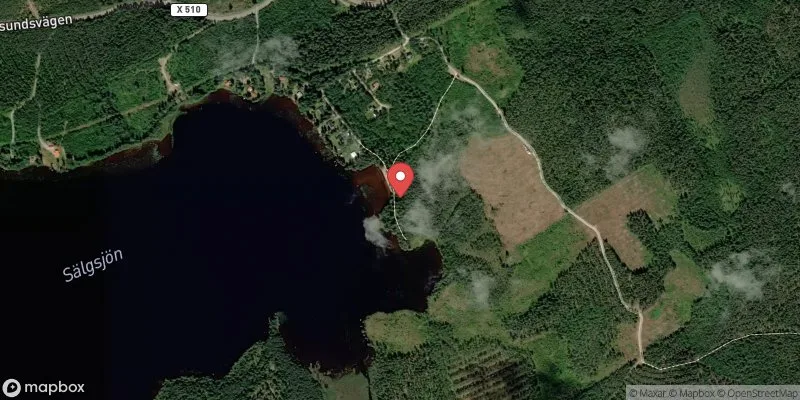 Satellitbild över Sälgsjön, Kalvsnäs i Hofors