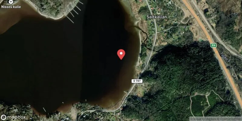 Satellitbild över Saltkällan i Munkedal