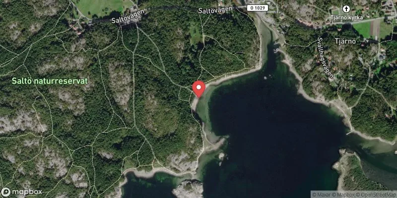 Satellitbild över Saltö i Strömstad
